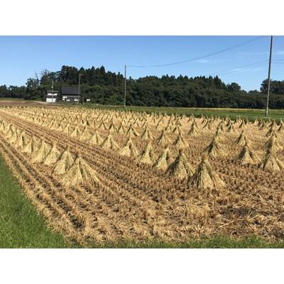 ふるさと納税 紫波町 【毎月定期便】岩手県紫波町産　特別栽培米　ひとめぼれ　5kg×2全3回 |  | 03