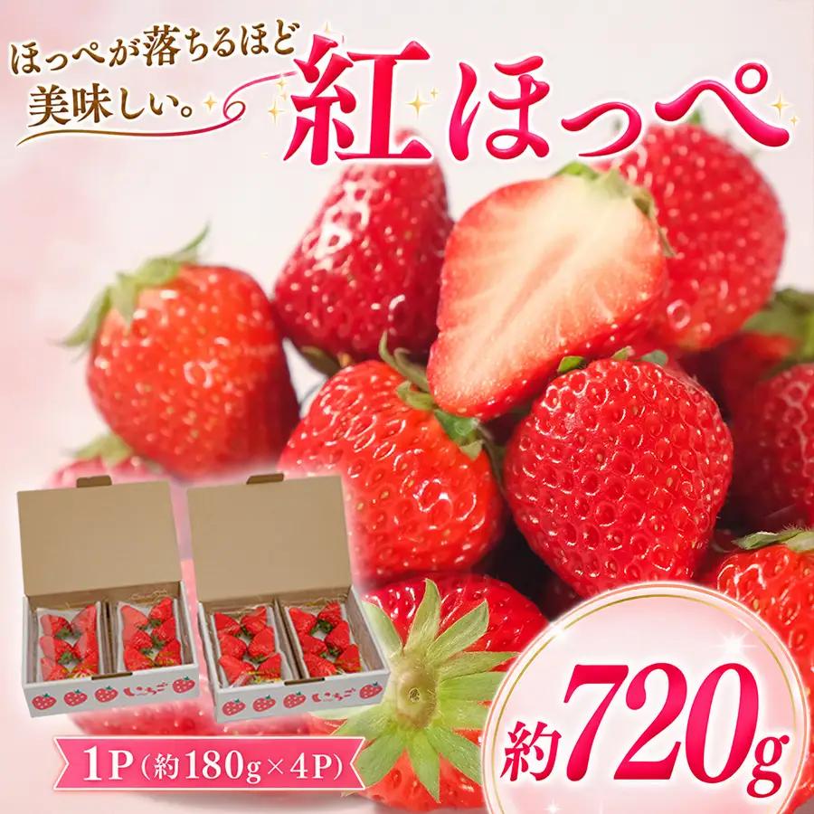 いちご 紅ほっぺ 約720g 苺 イチゴ 新鮮 とれたて 朝採れ
