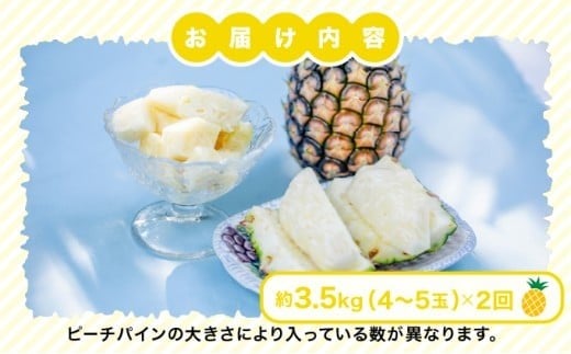 定期便 2ヶ月 2027年 先行予約 ピーチパイン 約3.5kg(4～5玉)×2回 ピーチパイン好きにおすすめ♪ ☆西表島ふる～つらんど☆ 果物 フルーツ　026-a013-2027
