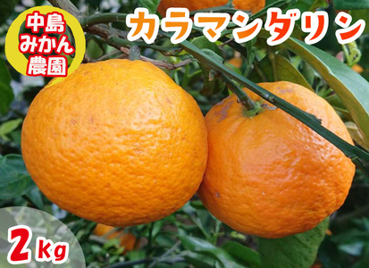 【2025年5月から発送】春 みかん カラマンダリン 家庭用 2kg ｜柑橘 くだもの フルーツ 愛みかん 愛媛みかん ミカン フルーツ 果物 みかん 柑橘 甘いみかん【NM012】