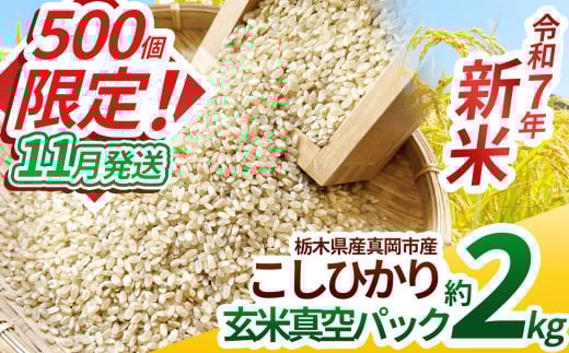 【先行予約】【ふるさと納税】いちご農家さん応援米！令和7年度新米 真岡市産こしひかり（玄米真空パック) 約2kg 選べる発送月 | 新米 真岡市産 こしひかり 真空 パック 米  お米 玄米 もちもち  限定  先行 予約 ふるさと納税 栃木県 真岡市 送料無料 