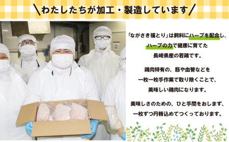 【 ながさき福とり 】 鶏肉 もも ・ むねセット 6kg 鶏肉 B304-xr