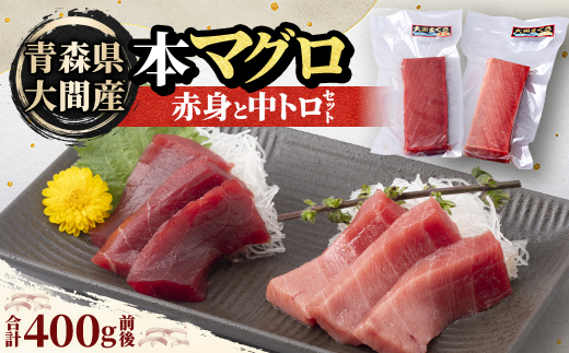 大間産本マグロ 赤身と中トロセット 各200g前後(合計400g前後)【配送不可地域：離島】
