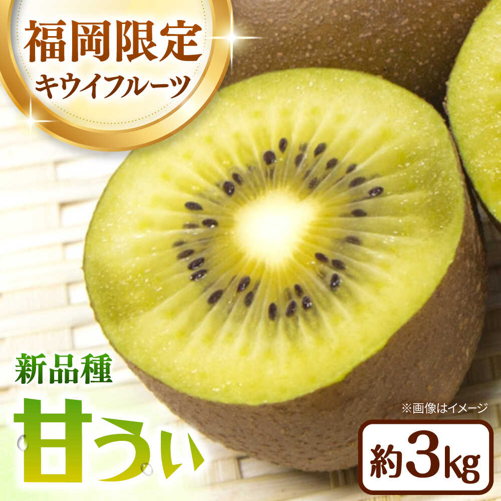 【ふるさと納税】福岡限定品種キウイ「甘うぃ」約3kg／2026年11月頃より発送予定 ▼キウイ キウイフルーツ 福岡 果物　桂川町/一般社団法人地域商社ふるさぽ[ADCF012]