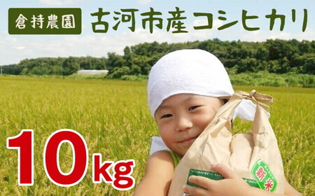 【令和7年産】古河市産 コシヒカリ10kg【倉持農園】｜  米 _AN01 ※2025年11月上旬頃より順次発送予定