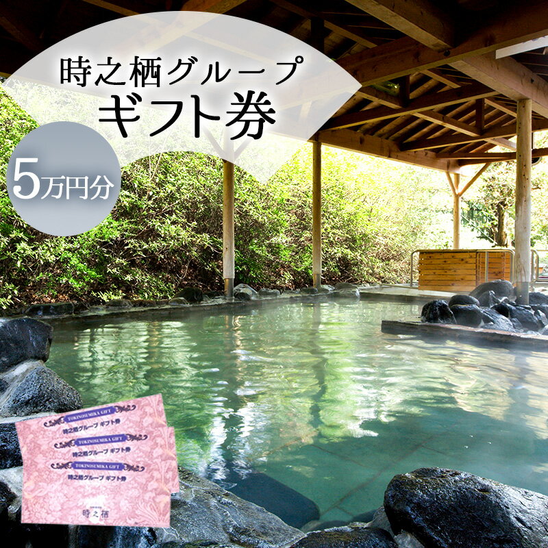 【ふるさと納税】旅行 静岡 時之栖 グループ ギフト券 15,000円分 （5万円寄付コース） チケット 券 旅行券 宿泊券 食事券 利用券 ホテル 温泉 レストラン グランピング 施設 トラベル 観光 体験 旅 ギフト プレゼント 贈答 贈答品 贈り物 静岡県 裾野 裾野市