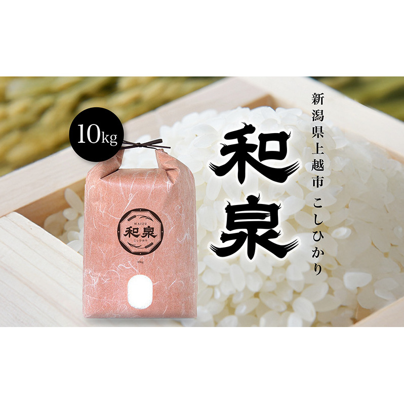 【ふるさと納税】新米 令和7年 新潟県上越産 こしひかり『和泉』10kg 10キロ 上越市 精米 米 ギフト 喜ばれる