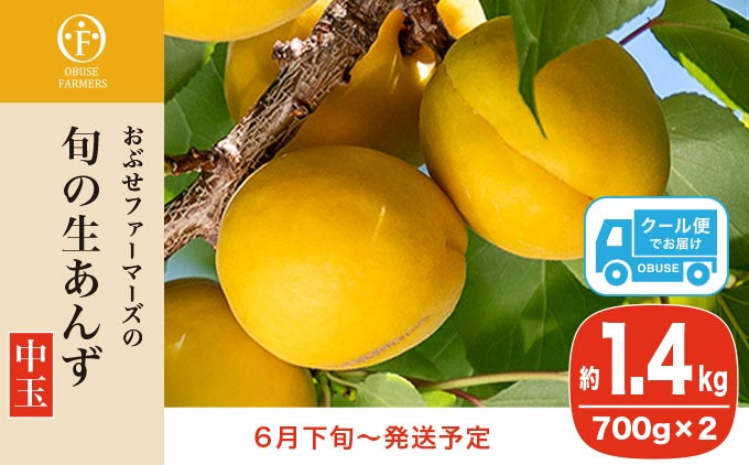 
            旬の生あんず 中玉 約1.4kg 700gパック×2 [おぶせファーマーズ] 数量限定 期間限定 杏アンズ 果物 フルーツ 長野県産 信州産 令和7年産【2025年6月下旬～発送】［F-51］
          