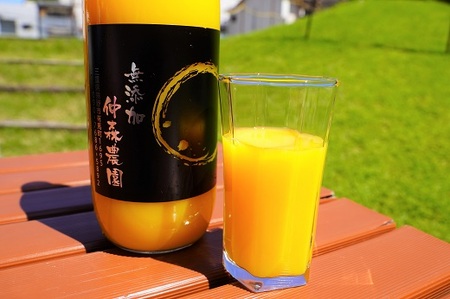 仲森農園の【麗紅甘熟みかんじゅーす】（3本） みかん 100% オレンジジュース れいこう 柑橘 ストレート ドリンク フルーツ【nkmr0007】