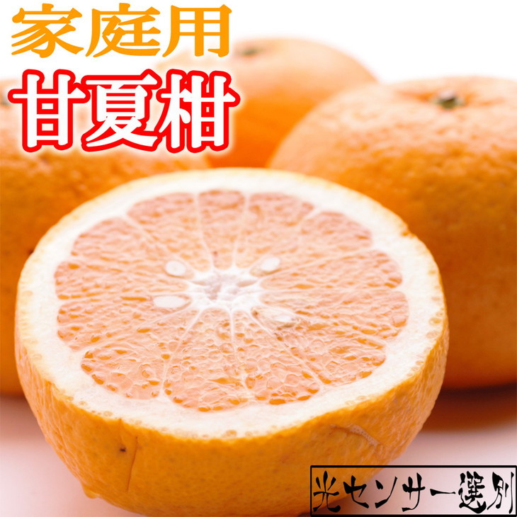＜4月より発送＞家庭用 甘夏柑2.5kg+250g（傷み補償分）◇【初夏のみかん・旬の果物】【有田産】【光センサー食べ頃出荷】【わけあり・訳あり】 ※北海道・沖縄・離島への配送不可 ※2026年4月上旬～5月下旬頃に順次発送予定