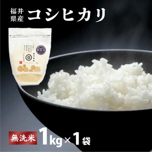 福井県産 コシヒカリ 無洗米 1kg ＜令和7年産 新米 / 数量限定 ＞【米 コメ お米 精米 白米 無洗米 玄米 ご飯 飯 こしひかり ブランド米 国産】[095-a013] 
