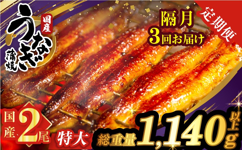 
                  【3回隔月定期便】うなぎ蒲焼特大2尾(さんしょう・たれ付き)総重量1140g以上 鰻 魚 魚介 加工品 国産_T026-0065-K
                