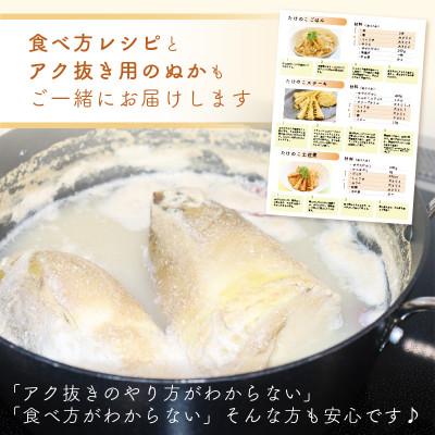 ふるさと納税 越前町 越前町宮崎地区産 たけのこ 約1kg |  | 02