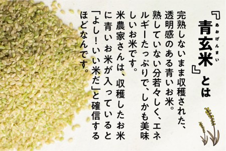 みつわ農園 若玄米 青玄米 300g×4袋 緑色玄米 GABA豊富 飛騨米 玄米 syun48