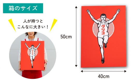 グリコ ビッグボックスセット 26種33個入り 12箱