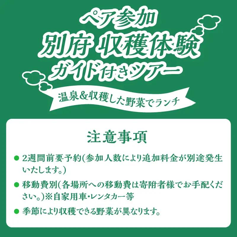 別府 収穫体験ガイド付きツアー(ペア参加)_B184-010