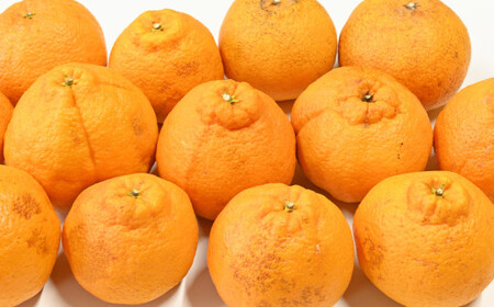 【訳あり】 不知火 5kg 柑橘 訳あり みかん 蜜柑 ミカン フルーツ 果物 くだもの 愛媛みかん 愛媛県産【2026年2月下旬-3月下旬発送予定】【えひめの町（超）推し！（愛南町）】（567）