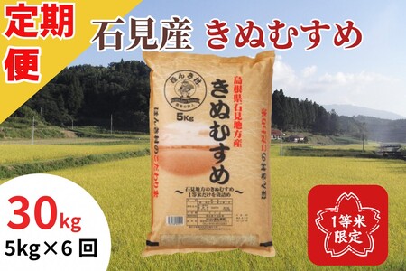 【令和6年産】石見産きぬむすめ30kg(5kg×6回コース）【定期便】お米 一等米 お取り寄せ 特産 精米 白米 ごはん ご飯 コメ 30kg 30キロ 【1939】