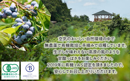 令和6年産【冷凍】月山高原のオーガニックブルーベリー(大粒・600g)　A36-603