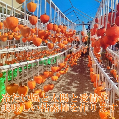 【農福連携】おひさまをたっぷり浴びた手作り枯露柿(ころ柿)(1箱12個入)【山梨市産干し柿】