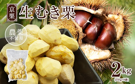 《11月中旬以降発送》京栗 生むき栗 冷凍  2kg（250g×8袋）【 京都 綾部 丹波栗 自然栽培 農家直送 国産 無農薬 果物 フルーツ くり 栗 小分け 個包装 】
