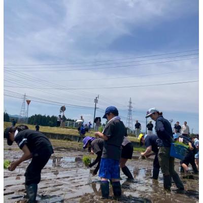 ふるさと納税 十日町市 【毎月定期便】魚沼産コシヒカリ精米2kg全12回 |  | 01