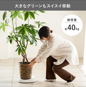 tidy ティディ Plantable（キャスター付植木鉢トレイ）【ホワイト】012EB06N.／台 観葉植物 トレイ プランター 受け皿 受皿 鉢皿 らくらく移動 可動式 軽量 ガーデニング リビン