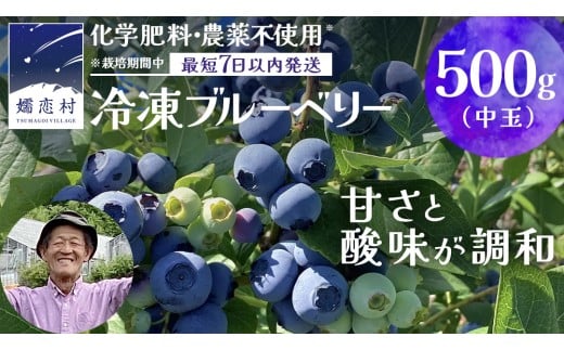 【 最短 7日以内 発送 】 冷凍 ブルーベリー 中玉 500g  【 栽培期間中 化学肥料 農薬 不使用 】 数量限定 中粒 国産 フルーツ スムージー 果物 くだもの 農家直送 スイーツ アイス ノーザンハイブッシュ系 ミックス [AT012tu]