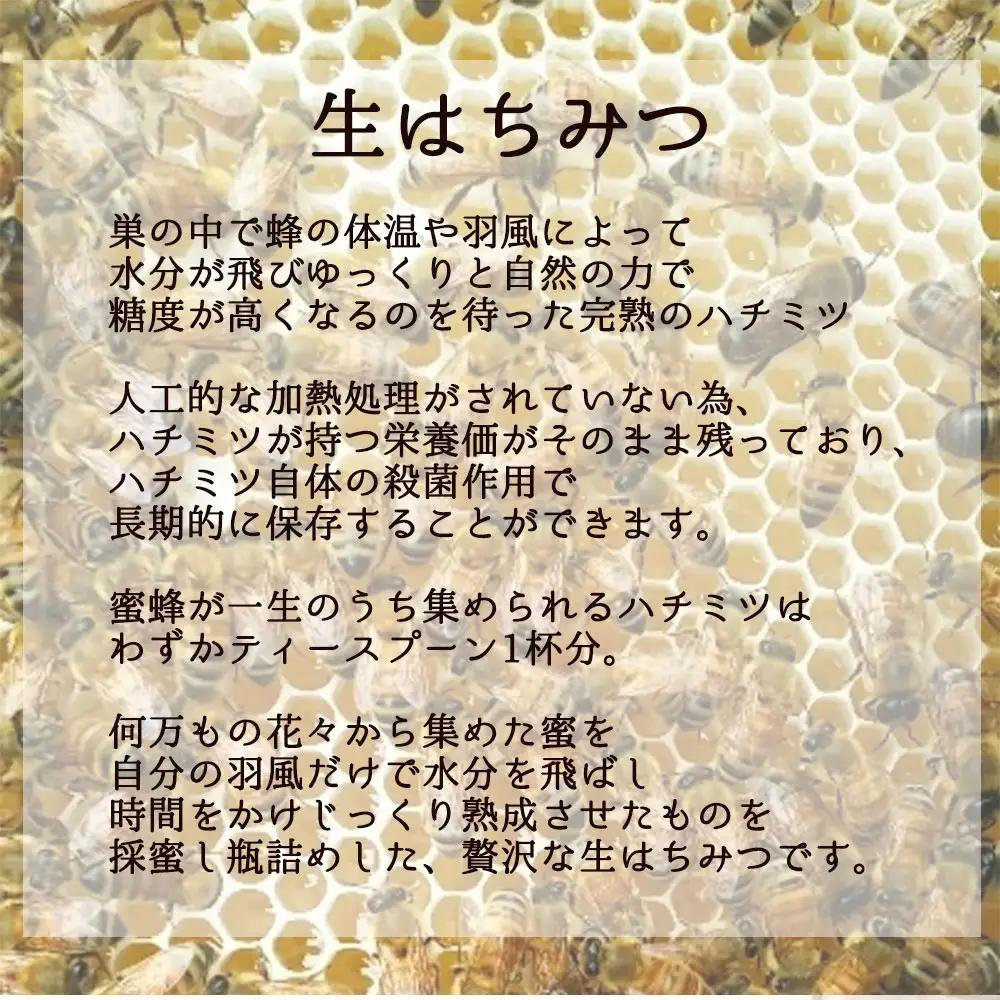 丸森町産純粋 生はちみつ「心」140g×3個【13102】