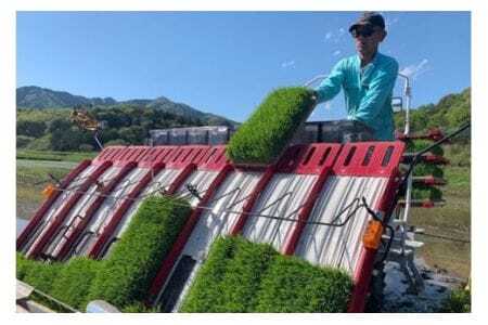 【令和7年産】 獅子米 ゆうだい21 玄米10kg 岡田ファーム あなたが選ぶ日本一おいしい米コンテスト 最優秀金賞 受賞 お米 米 おこめ ブランド米 10キロ 国産 単一原料米 コメ こめ ご飯