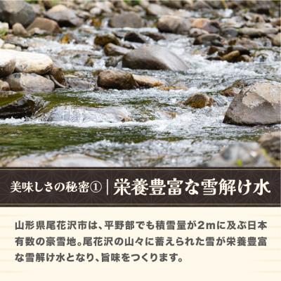 ふるさと納税 尾花沢市 令和7年産 新米 精米 つや姫 20kg 5kg×4袋 山形県尾花沢市産 ja-tssxa20 |  | 02