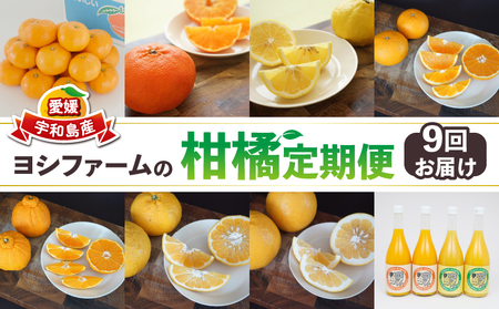 みかん定期便 柑橘定期便 9回 みかん ヨシファーム 蜜柑 mikan みかんジュース ジュース 南柑20号 伊予柑 ポンカン 甘平 甘夏 不知火 はるか 河内晩柑 清見 早生温州 定期便 果物 くだもの フルーツ 柑橘 産地直送 農家直送 国産 愛媛 宇和島 みかん定期便 みかん定期便 みかん定期便 みかん定期便 みかん定期便 みかん定期便 みかん定期便 みかん定期便 みかん定期便 みかん定期便 みかん定期便 みかん定期便 みかん定期便 みかん定期便 みかん定期便 みかん定期便 みかん定期便 みかん定期便