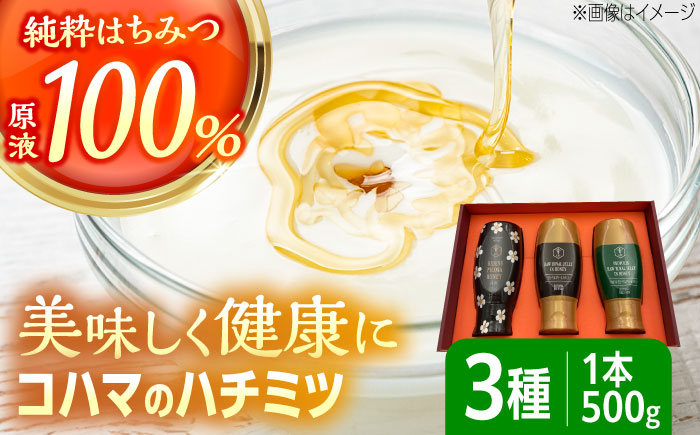 
            コハマのハチミツ 500g 3本セット 蜂蜜 はちみつ ハチミツ 国産 ギフト 沖縄市 / 農業生産法人株式会社小浜養蜂場 [BCAQ005]
          