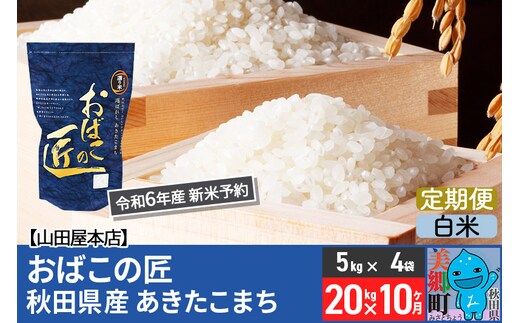 
										
										【白米】＜令和6年産 新米予約＞《定期便10ヶ月》おばこの匠 秋田県産あきたこまち 20kg×10回 計200kg 10か月 10ヵ月 10カ月 10ケ月 秋田こまち お米
									