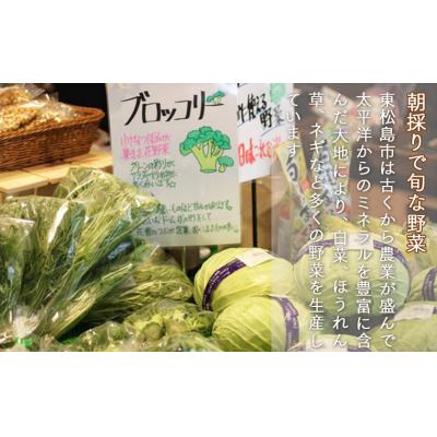 ふるさと納税 東松島市 新鮮 季節の野菜 おまかせ詰め合わせセット 宮城県 東松島市 野菜 産直 |  | 01