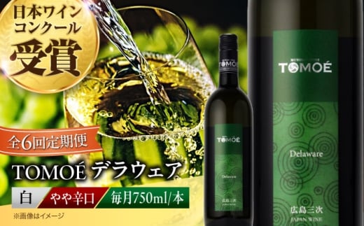 【全6回定期便】白ワイン TOMOEデラウェア 白ワイン やや辛口 750ml 1本 白 ワイン 受賞 ギフト 醸造 お酒 地酒 洋酒 テイスティング ソムリエ 広島県三次市産 国産 ぶどう 葡萄 ブドウ フルーティ ギフト 贈答 プレゼント お取り寄せ ご当地 みよし 三好 記念日 誕生日 クリスマスパーティー 産地直送 人気 おつまみ 三次市/広島三次ワイナリー[APAZ051]
