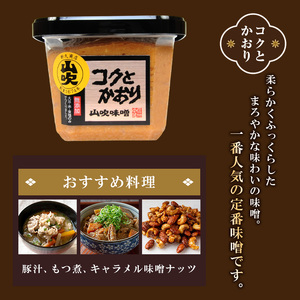 山吹味噌 コクとかおり 500g×6 セット 山吹味噌