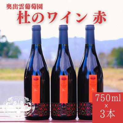 ふるさと納税 雲南市 杜のワイン赤 750ml×3本 辛口ワイン 赤ワイン3本