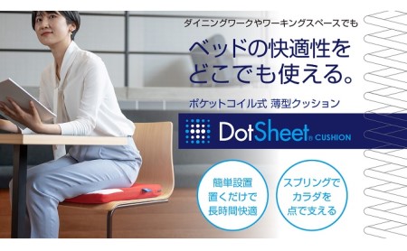 コンセプト懐『DotSheet』クッション レッド