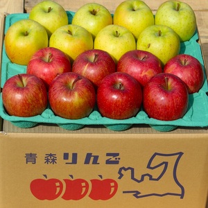 りんご 【 2月発送 】 糖度13度～家庭用 サンふじ ・ 王林 詰め合わせ 約 10kg