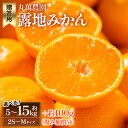 【ふるさと納税】【選べる内容量】【2025年出荷】贈答用 露地みかん(2S～Mサイズ) 約5kg/約10kg/約15kg ＋約100g (傷み補償分) - 果物 くだもの フルーツ 果実 柑橘 かんきつ 蜜柑 みかん ミカン 期間限定 ギフト 贈り物 お祝い 感謝 お礼 丸萬農園 高知県 香南市【常温】