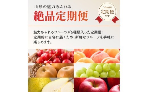 ≪先行受付≫ デリシャス６種のフルーツ盛定期便【定期便全5回】