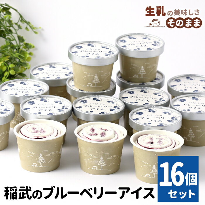 【ふるさと納税】無農薬 除草剤不使用！ 30品種をブレンドした ブルーベリー アイス16個入り80ml 生乳 ブルーベリー ソース ソフトクリーム アイスクリーム アイス ブルーベリーアイス 無農薬 フルーツアイス スイーツ 人気 ギフト 10000円