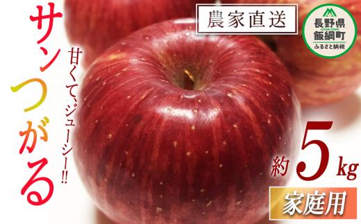 りんご サンつがる 家庭用 5kg 沖縄県への配送不可 2024年9月上旬から2024年9月中旬まで順次発送予定 令和6年度収穫分 静谷りんご園 減農薬栽培 信州の環境にやさしい農産物認証 長野県 飯