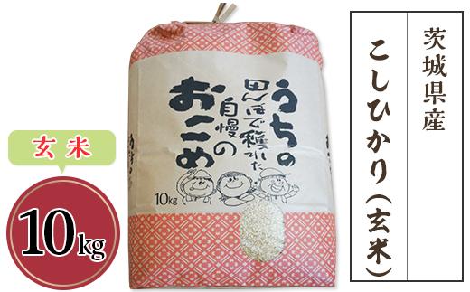 令和6年産 茨城県産こしひかり（玄米）10kg 2週間以内発送【 R6年産 米 お米 コメ 国産 下妻市 コシヒカリ 】