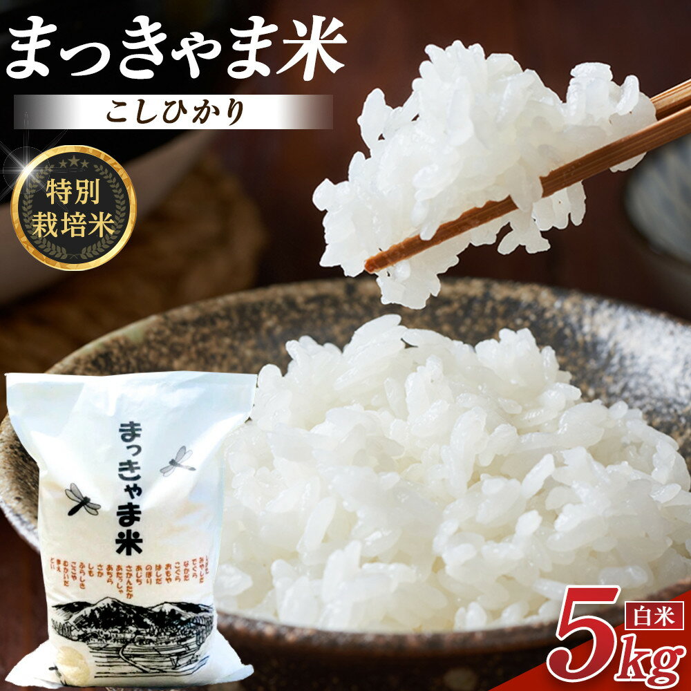 【ふるさと納税】令和7年度産 特別栽培米 石川県産 こしひかり 棚田米 白米 5kg | まっきゃま米 ブランド米 コシヒカリ