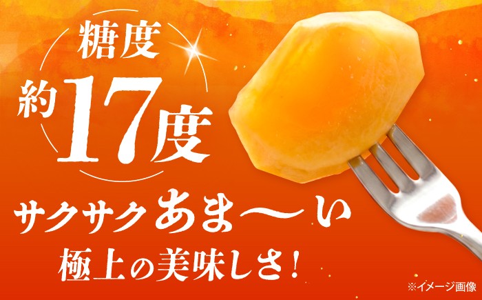 糖度17度 サクサクあま～い極上のおいしさ
