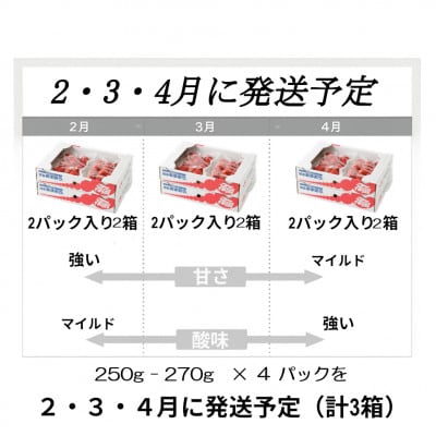 【発送月固定定期便】博多あまおう 250g-270g×4パック(岡垣町)全3回【配送不可地域：離島】