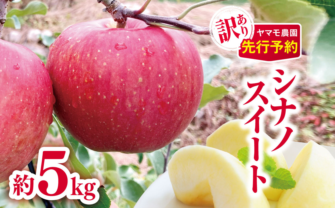 
            *【2025年先行予約】 訳あり シナノスイート約5kg | ヤマモ農園 果物 フルーツ 果実 訳あり りんご 林檎 リンゴ シナノスイート 長野県 松川村 信州
          