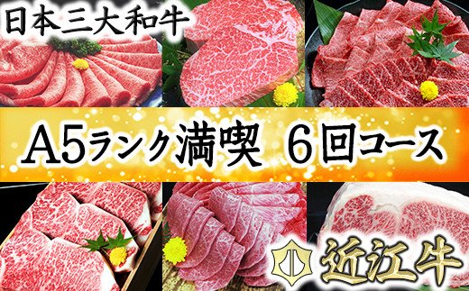 げんさんの近江牛満喫コース　12ヶ月で全6回お届け（2カ月に1回）【DG13W】